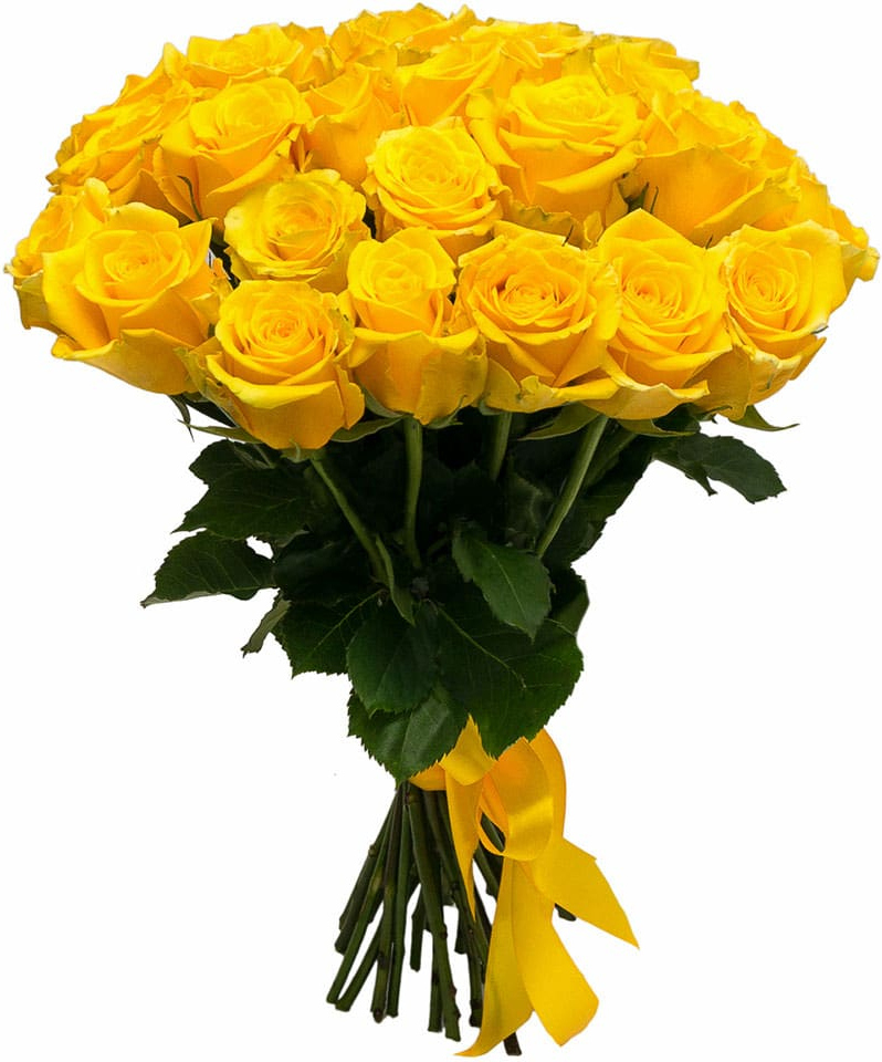 Розы Эквадор желтые Розы Эквадор желтые