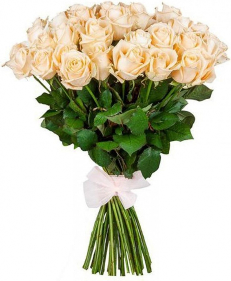 Розы Эквадор кремовые Розы Эквадор кремовые