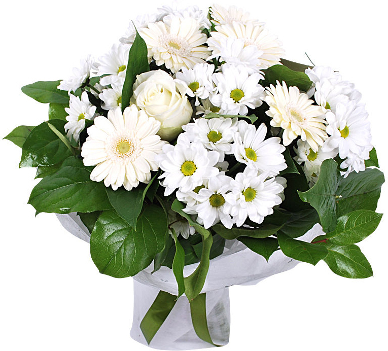 из ромашковых хризантем Букет «Белоснежка»
